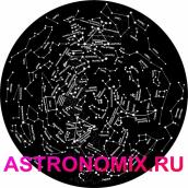 Disk for planetarium Segatoys Northern Constellations in Russian